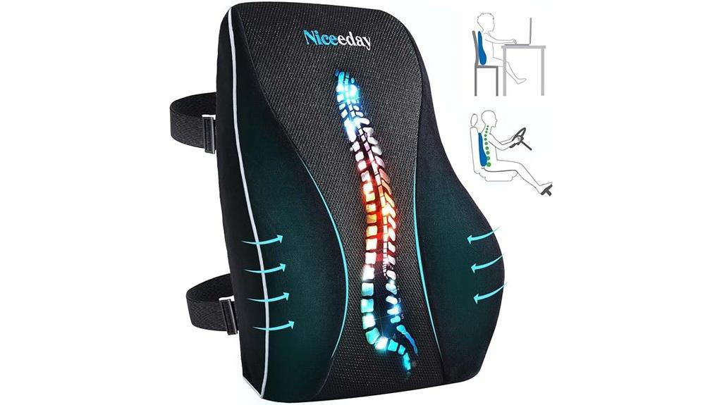 14 Best Lumbar Support Cushions for Chairs to Improve Your Posture and Comfort 5 ergonomic lumbar support pillow
