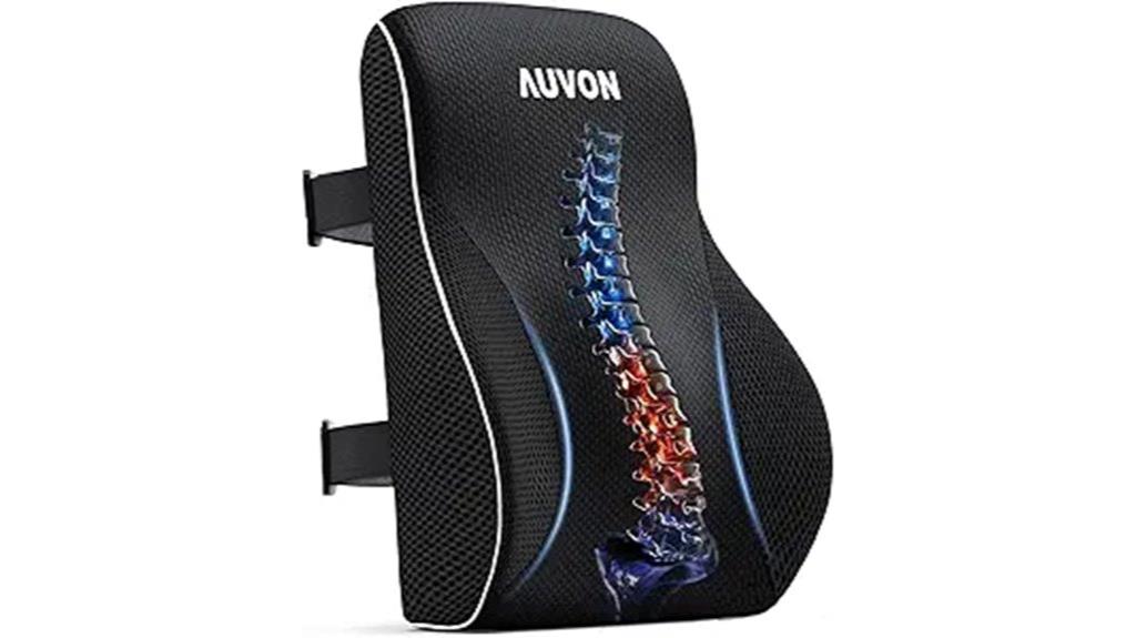 14 Best Lumbar Support Cushions for Chairs to Improve Your Posture and Comfort 16 lumbar support with bulge