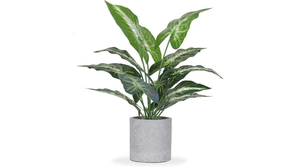 mini tropical indoor plant set