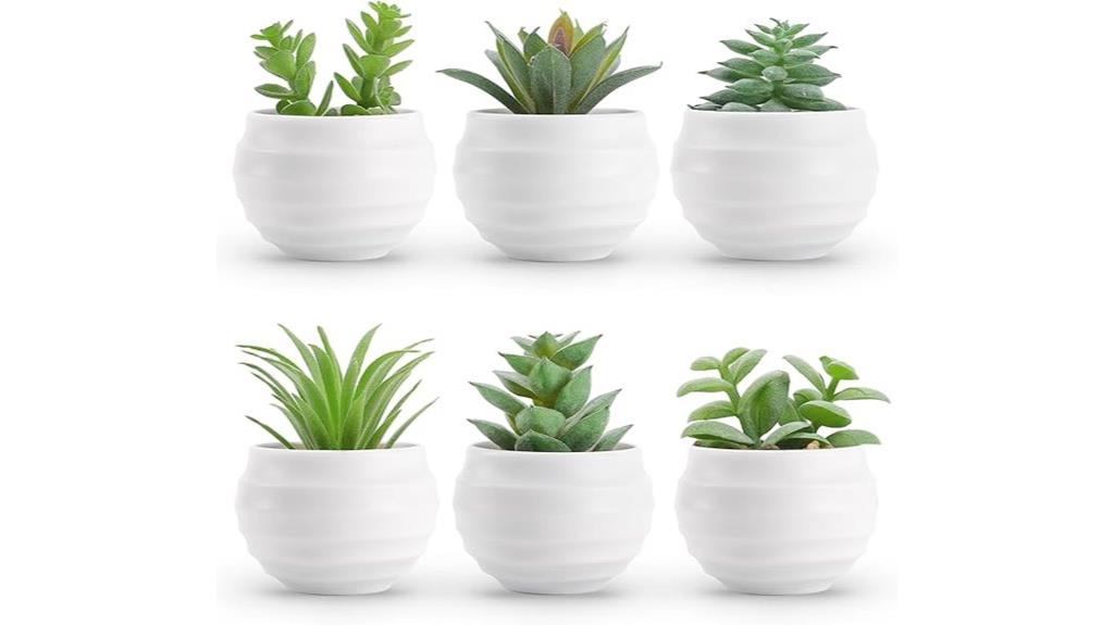 six faux succulents pots
