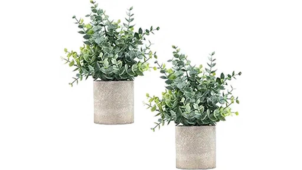 small eucalyptus plant set