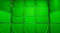 top 15 green screen options