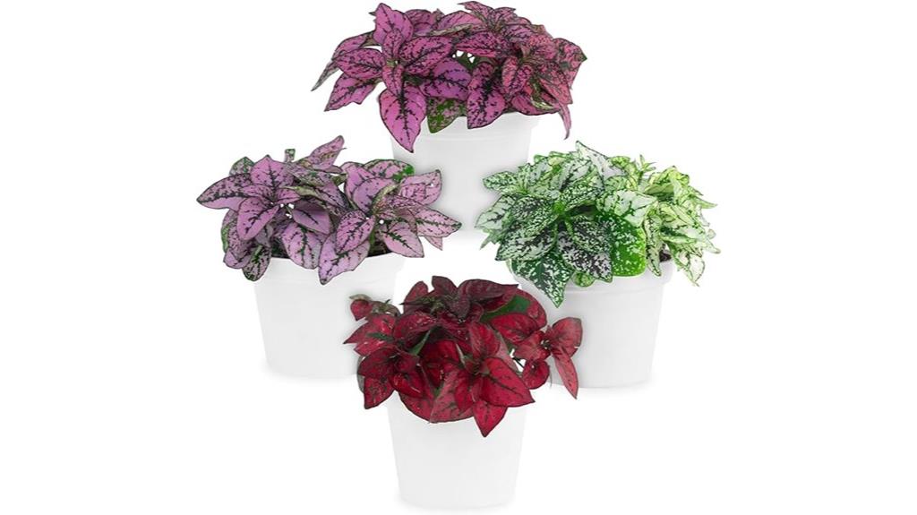 indoor air purifying plants