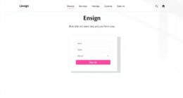 Optimizing Embedded Signup Forms on Blogs and Landing Pages 2 streamlining embedded signup forms