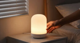 2 Best Home Night Lights In 2026