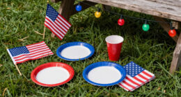 15 Best Patriotic Outdoor Party Supplies in 2026