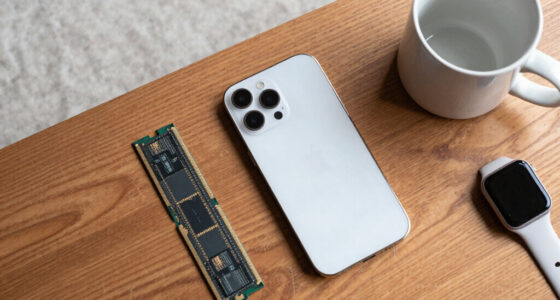 Apple Is Reaching for Chinese Memory. Europe Doesn’t Even Have That Option.