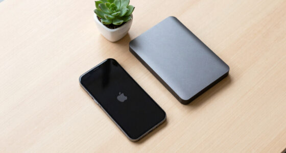 Apple Is Reaching For Chinese Memory. Europe Doesn’t Even Have That Option.